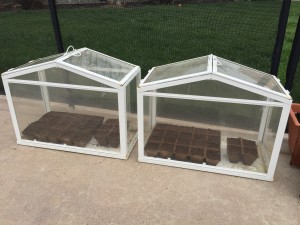 Mini greenhouses for fast growing seeds to plants